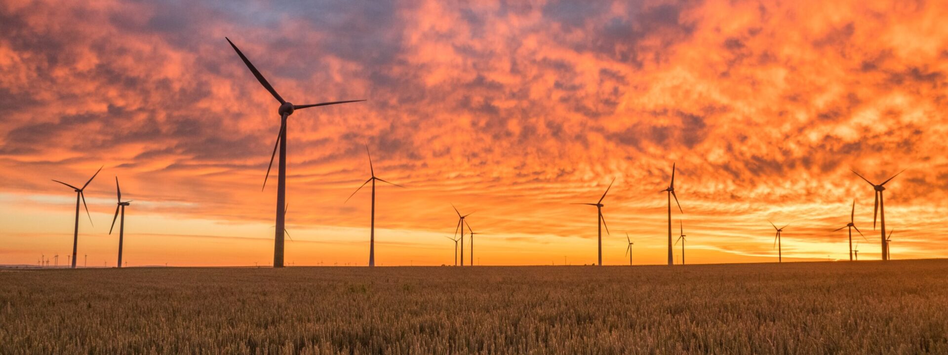 Xcel Energy seeks 1,200 MW of new wind capacity