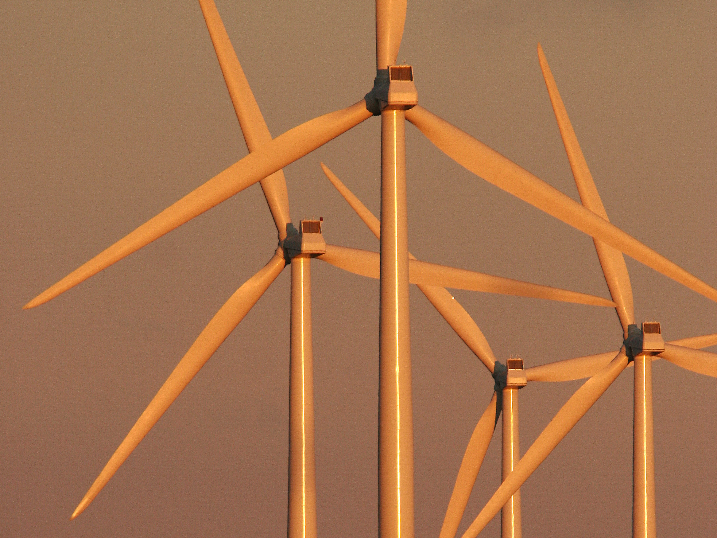 Ameren to Build Missouri’s Largest Wind Farm