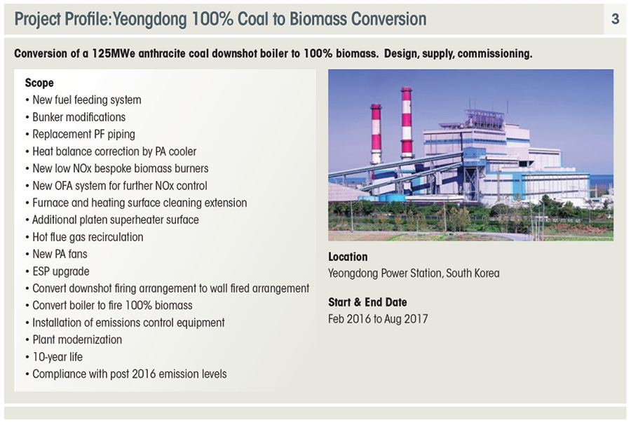 Biomass from Managed Forests Is Carbon Neutral - Figure 3