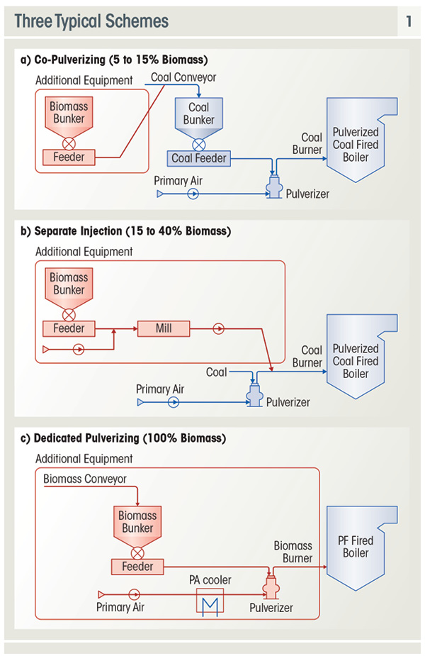 Biomass from Managed Forests Is Carbon Neutral - Figure 1